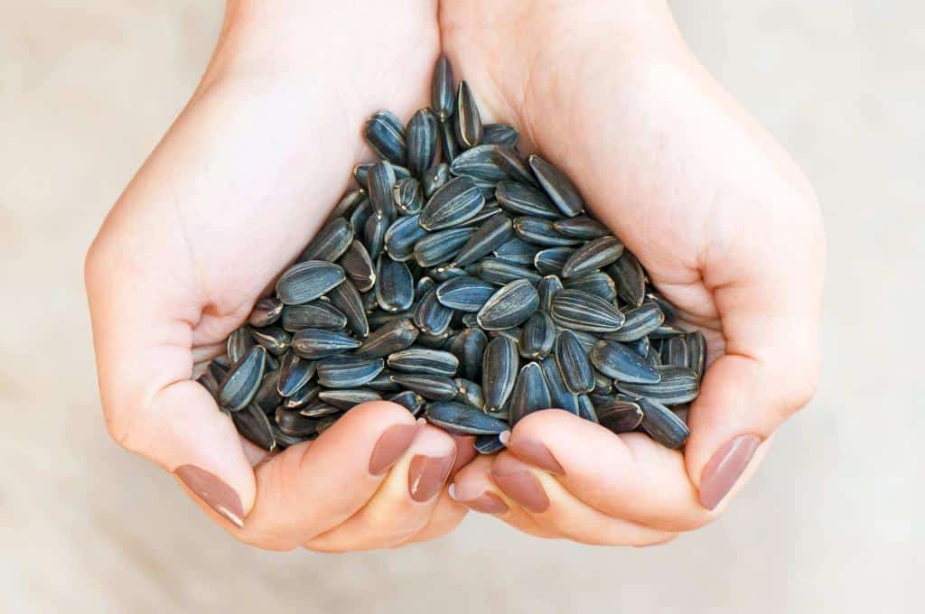 A hand holding sunflower seeds making a heart shape with hands