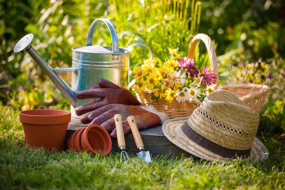 Gardening-supplies-sitting-outside-in-grass-in-front-of-flowers