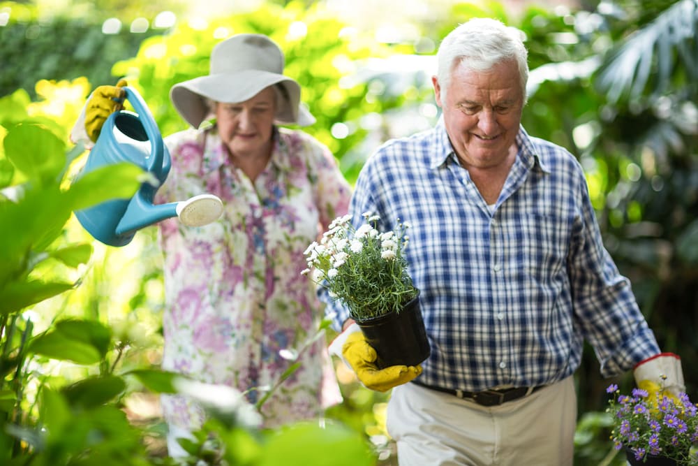 Senior couple carrying water can surrounded by plants