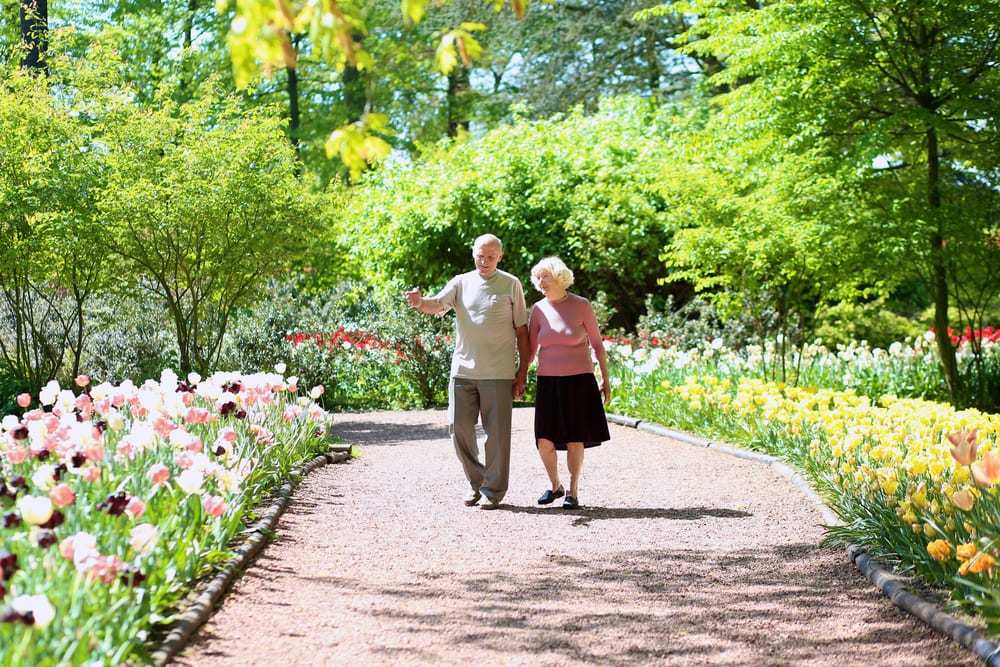 Senior-couple-walking-in-beautiful-garden