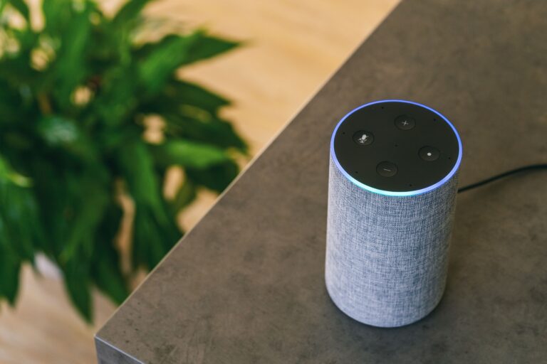 Amazon echo smart speaker on table, plant in background