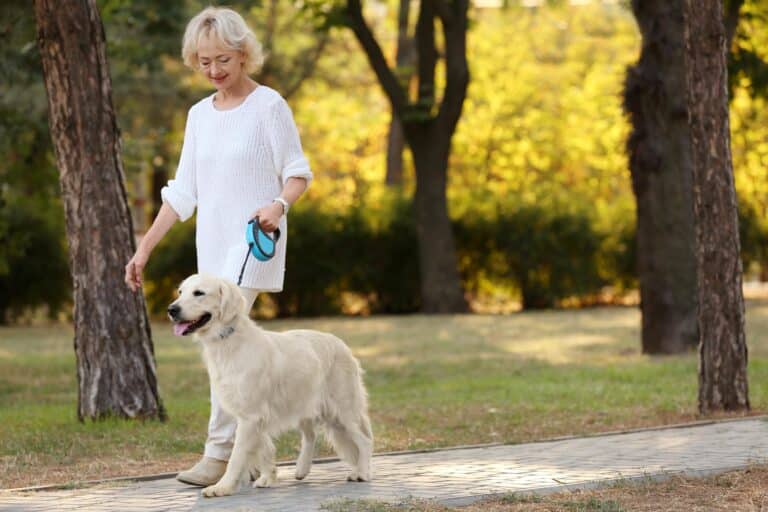 Senior woman walking with a dog in the park in autumn